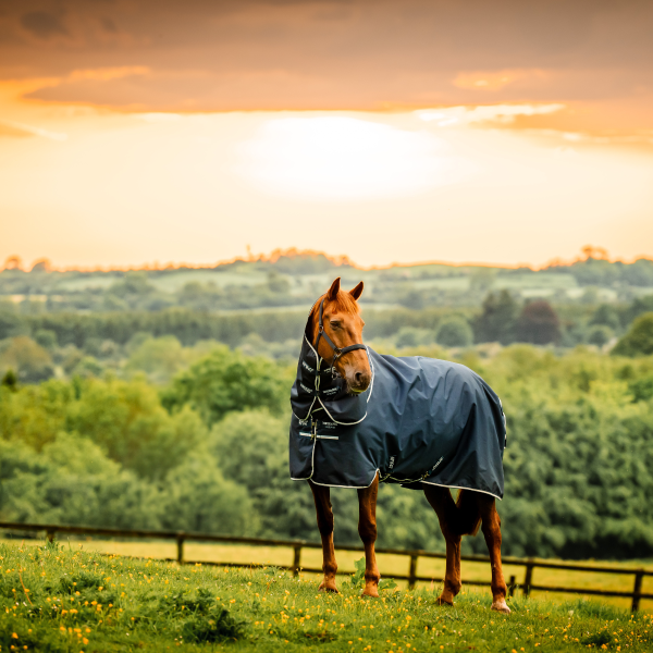 Horseware Amigo Ripstop 900D Pony Plus 200g